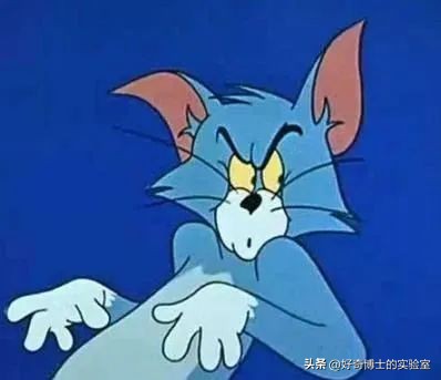 《猫和老鼠》其实不是儿童动画片而是成人片