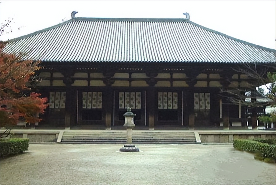 奈良街上的梅花鹿,奈良梅花鹿公园