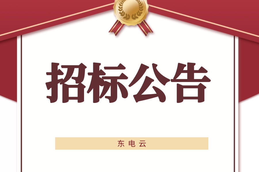 国家电网宁夏电力公司最新开标,宁夏国网设备招标最新公告