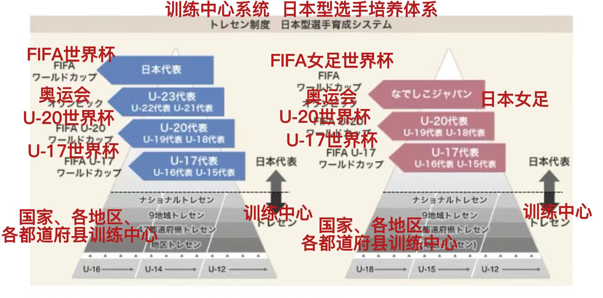 鏃ユ湰瓒冲崗瀹樼綉澶氱姣旇禌,鏃ユ湰瓒冲崗2019