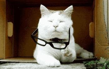 全国爱眼日如何预防近视内容,预防青少年儿童近视眼十大方法