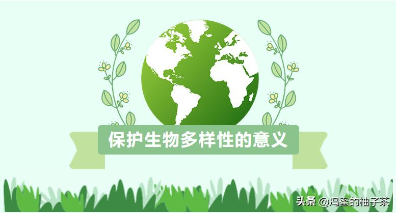 生物多样性的保险价值，在经济学框架中有何意义？