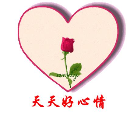 趣味猜字大升级小游戏,猜字谜小游戏包括答案视频