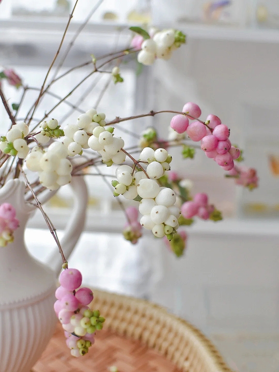 花艺教程花材打理知识,花艺教程常用花材及叶材有哪些