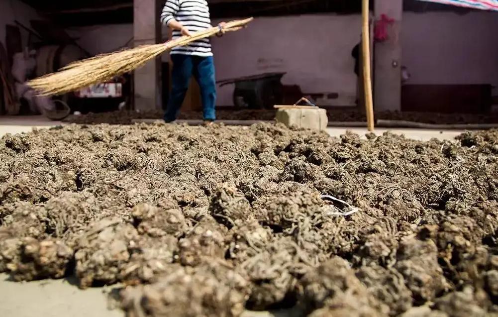 脑梗，根源是气虚！一张十几块的方子，补气通脑梗