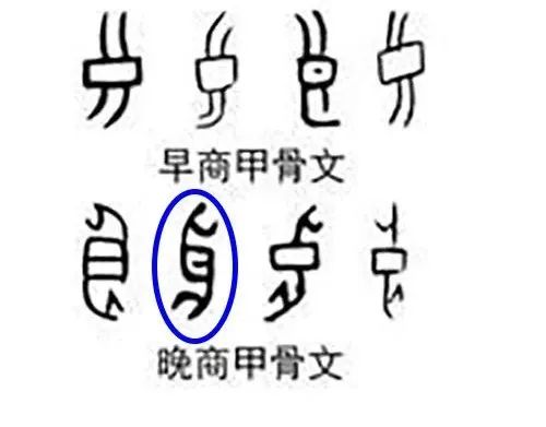 良金,良金和田玉