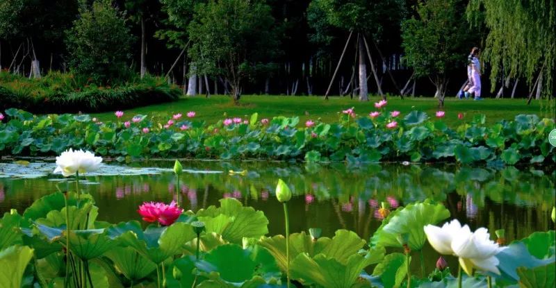 家门口的体育广场,家门口的健身场就是这么燃