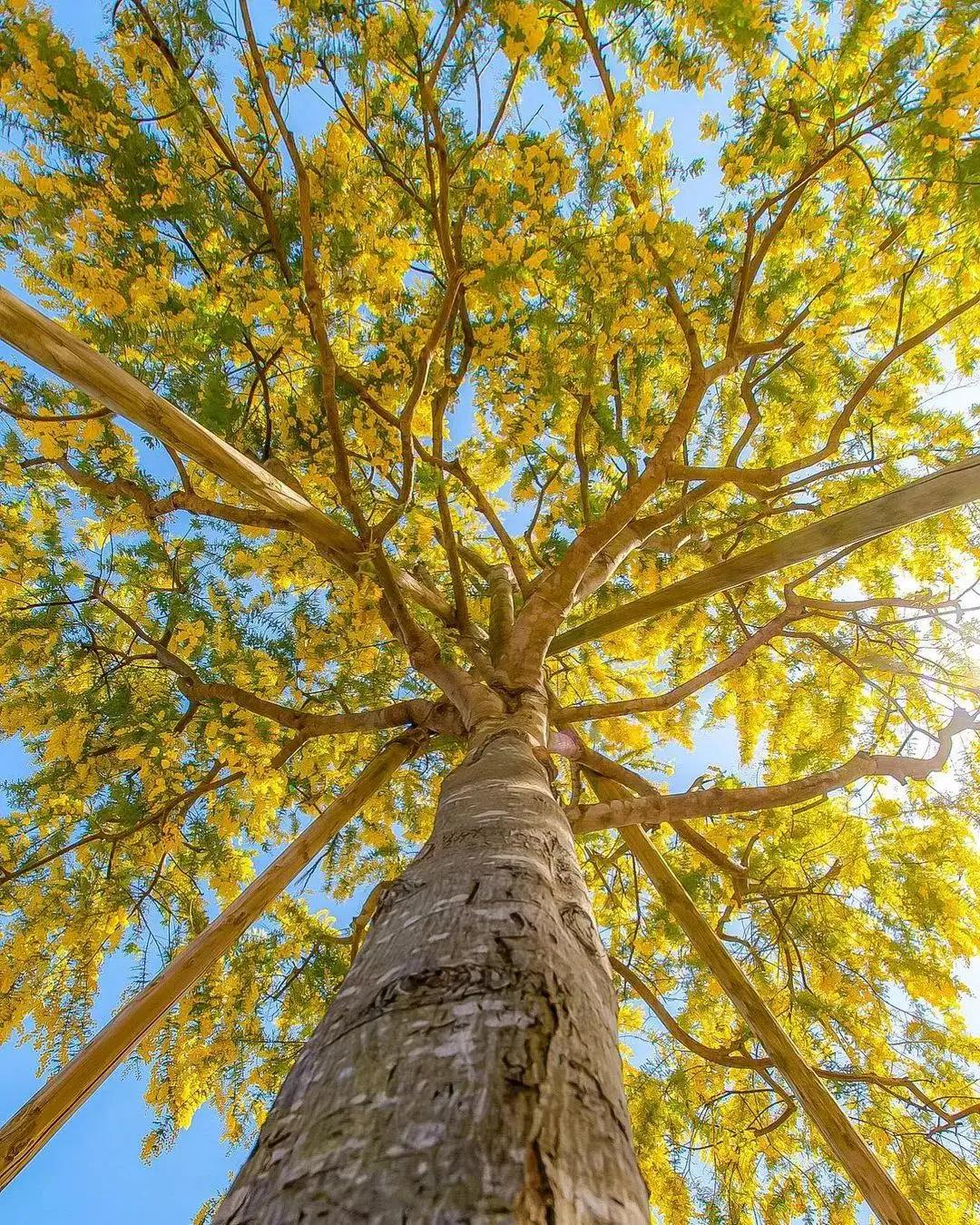 天空美图,天空好看的照片