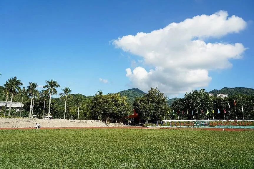 回忆石岩公学,石岩公学5年级