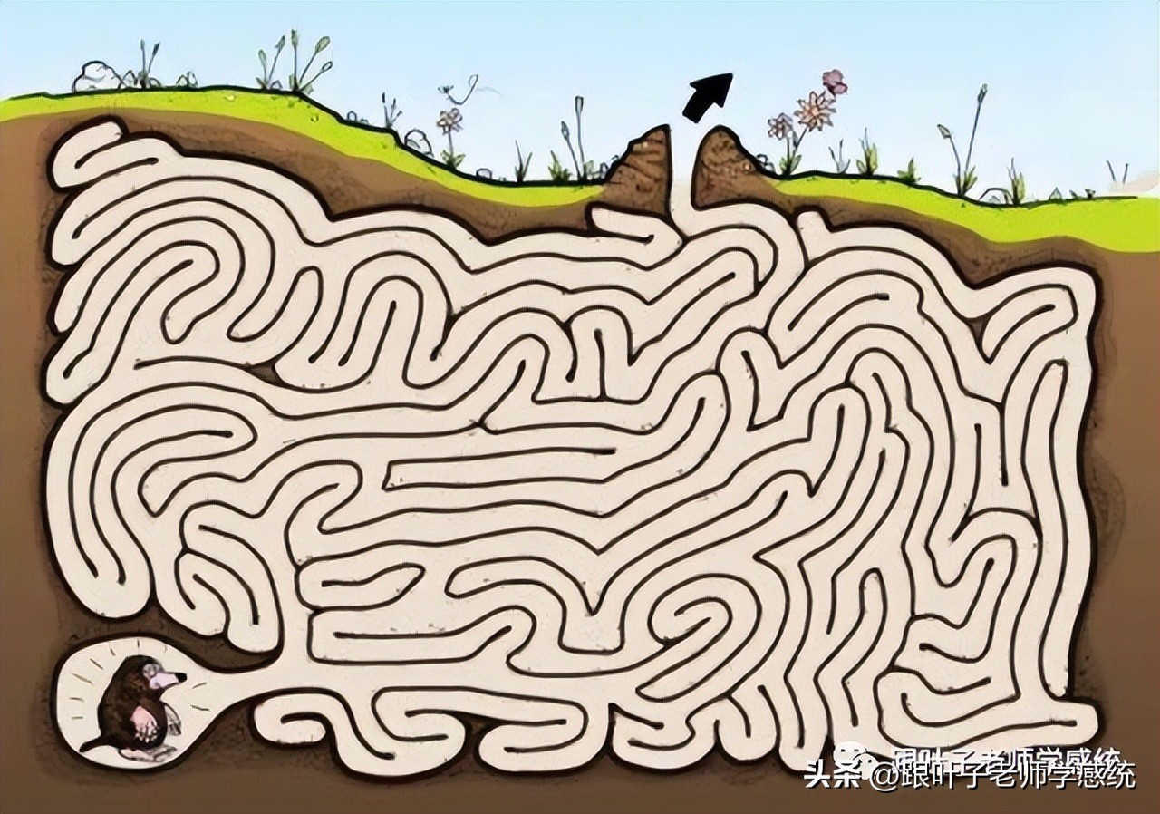 小孩写反字读写障碍,孩子总写反字记忆力差