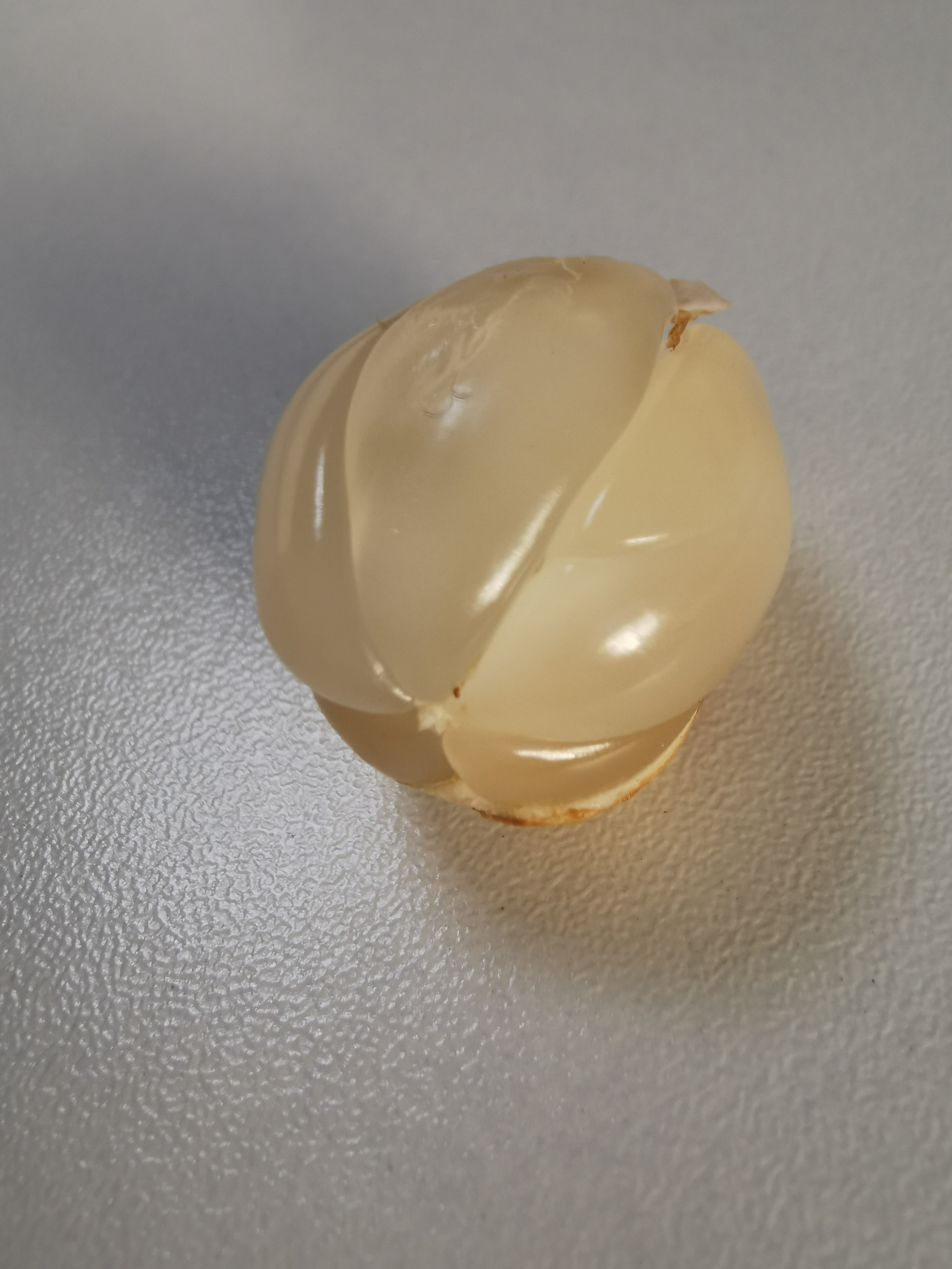 青山印尼项目,青山印尼钢铁厂