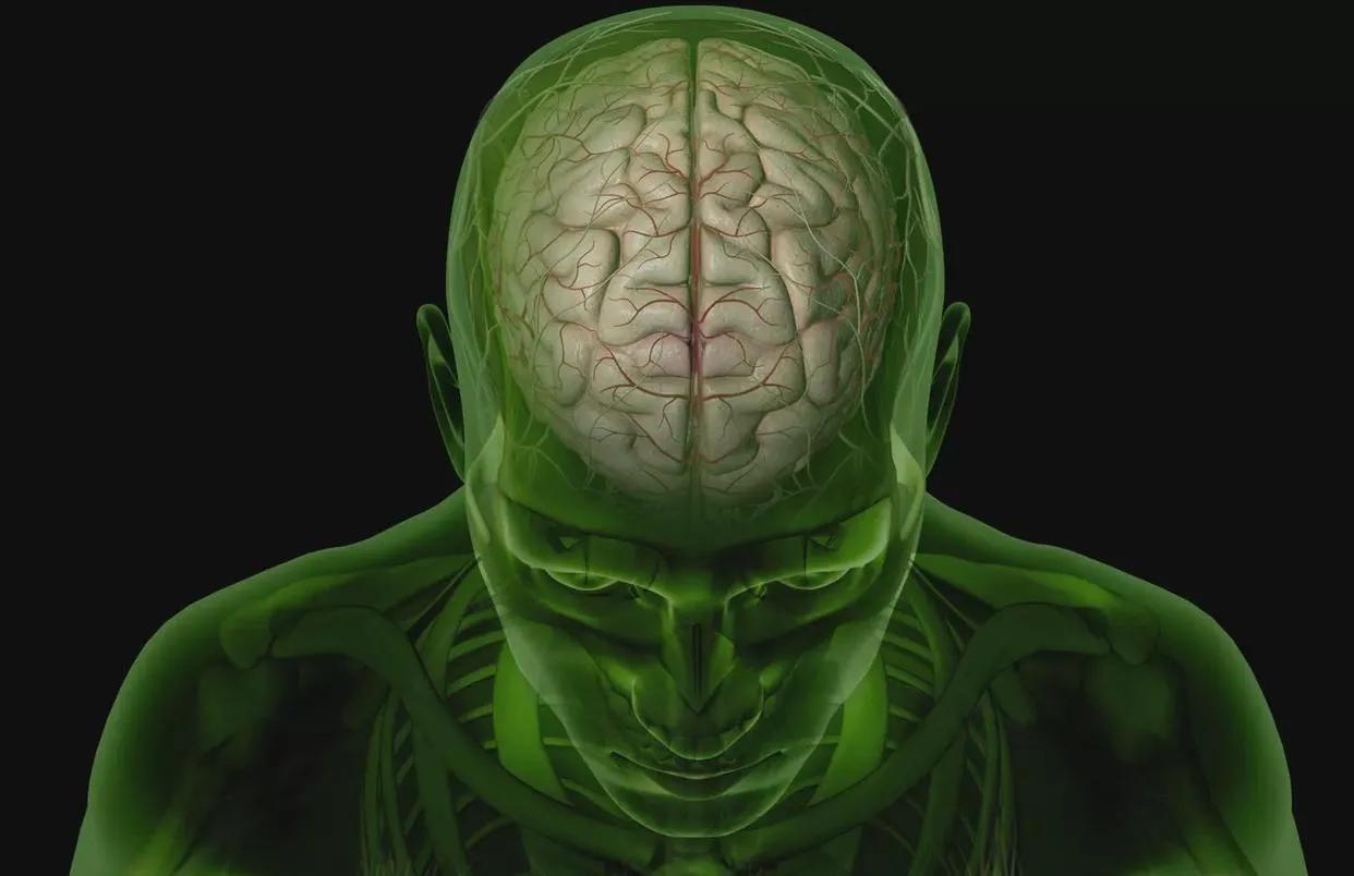 生物视角心理学,生物心理学是什么