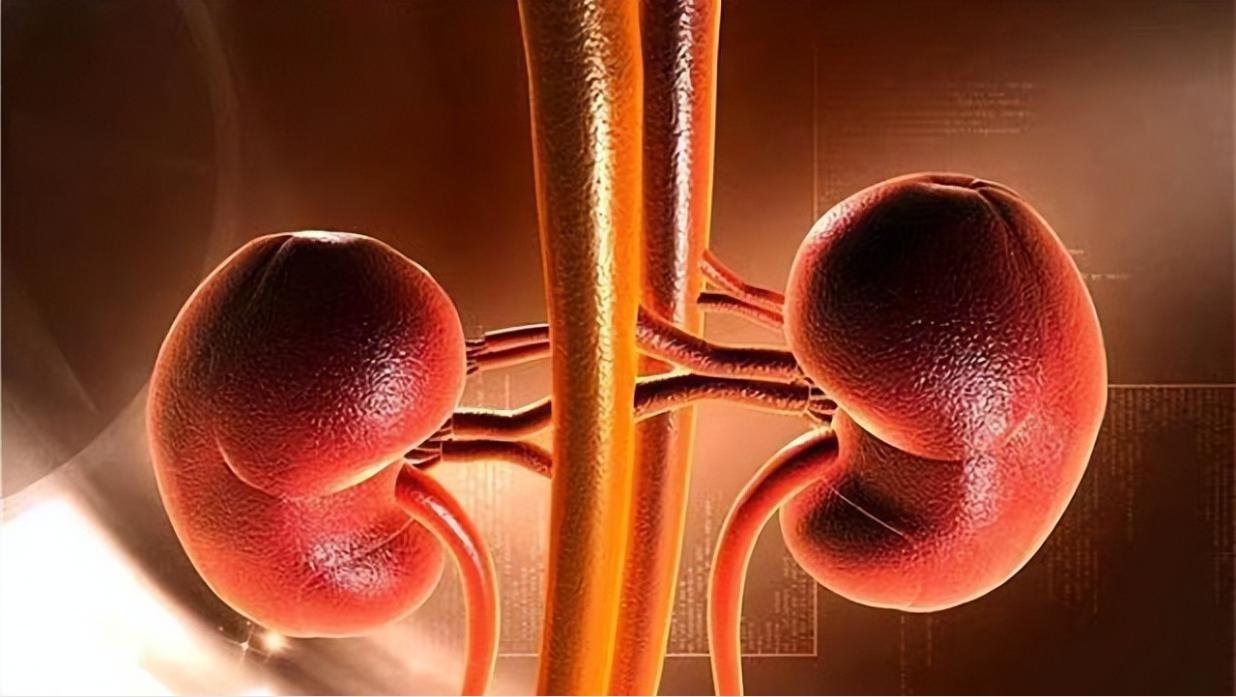 肾病高血压可以吃阿利沙坦酯,国产新药阿利沙坦酯保护心肾