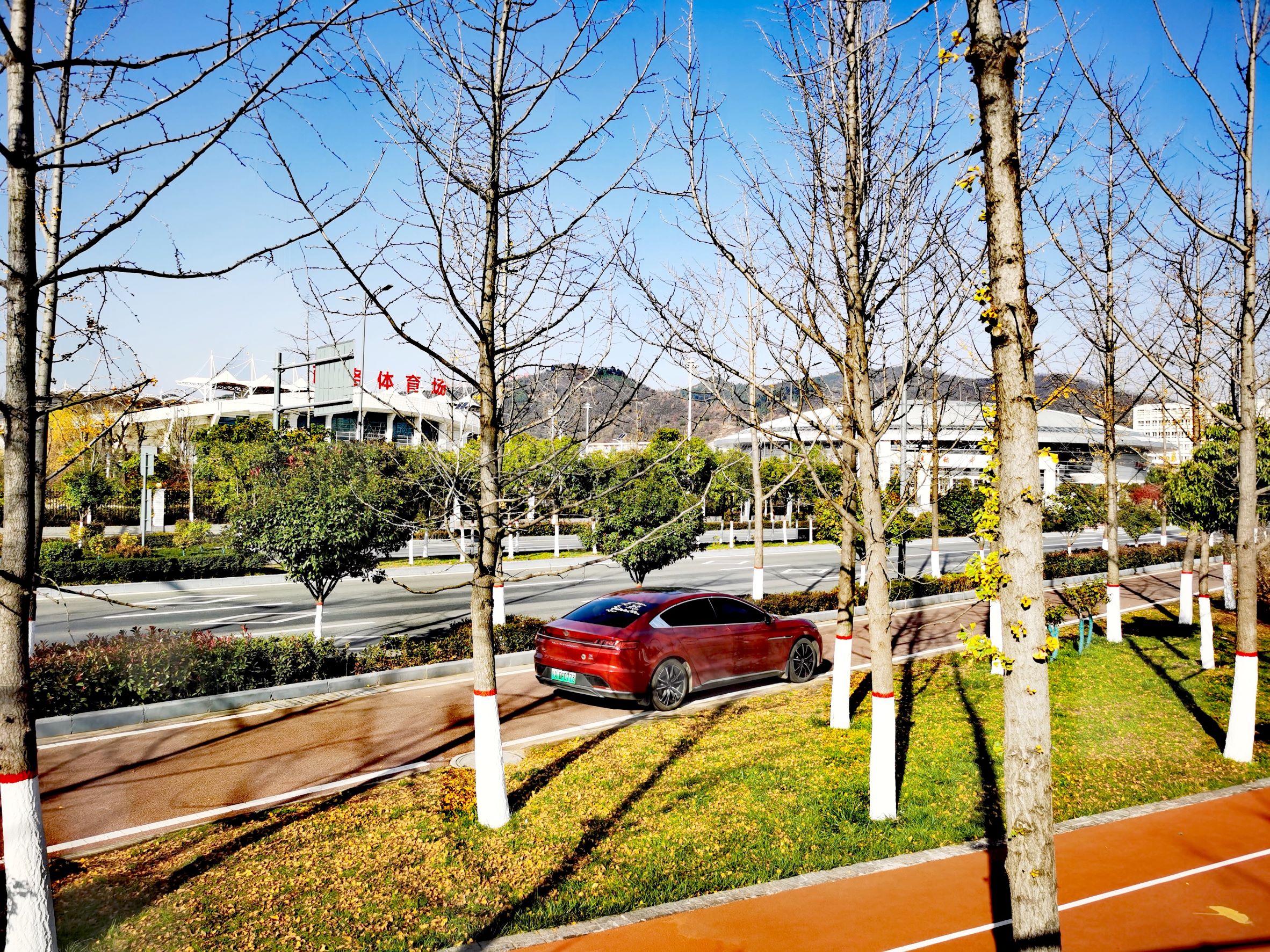 绽放巴黎在哪儿看,2022世界杯看球最好的位置