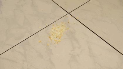 送丈母娘洗地机,送爸妈洗地机