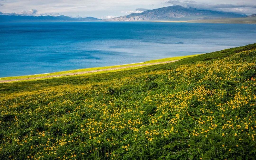 来新疆一定要避开的坑,新疆旅行一定要看的避坑建议