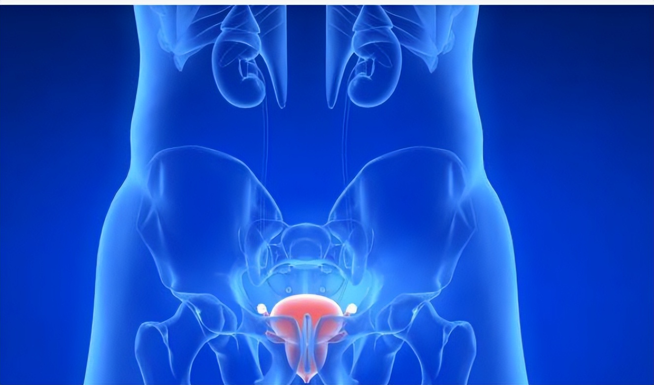 为什么男人的丁丁，普遍偏左？