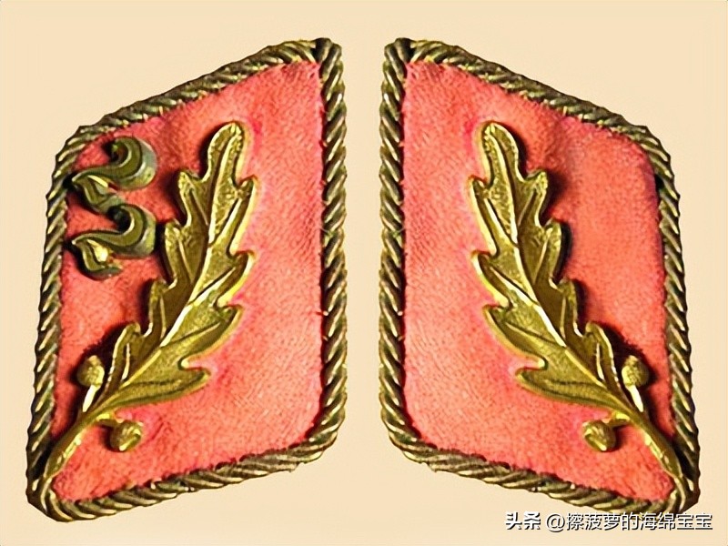 纳粹冲锋队用的什么枪,纳粹德军军衔图解