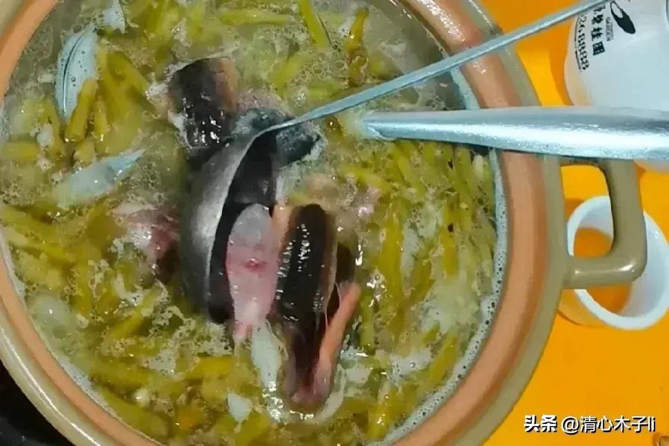 从化小巴厘岛,韶关蓝山源岭南东方温泉度假村