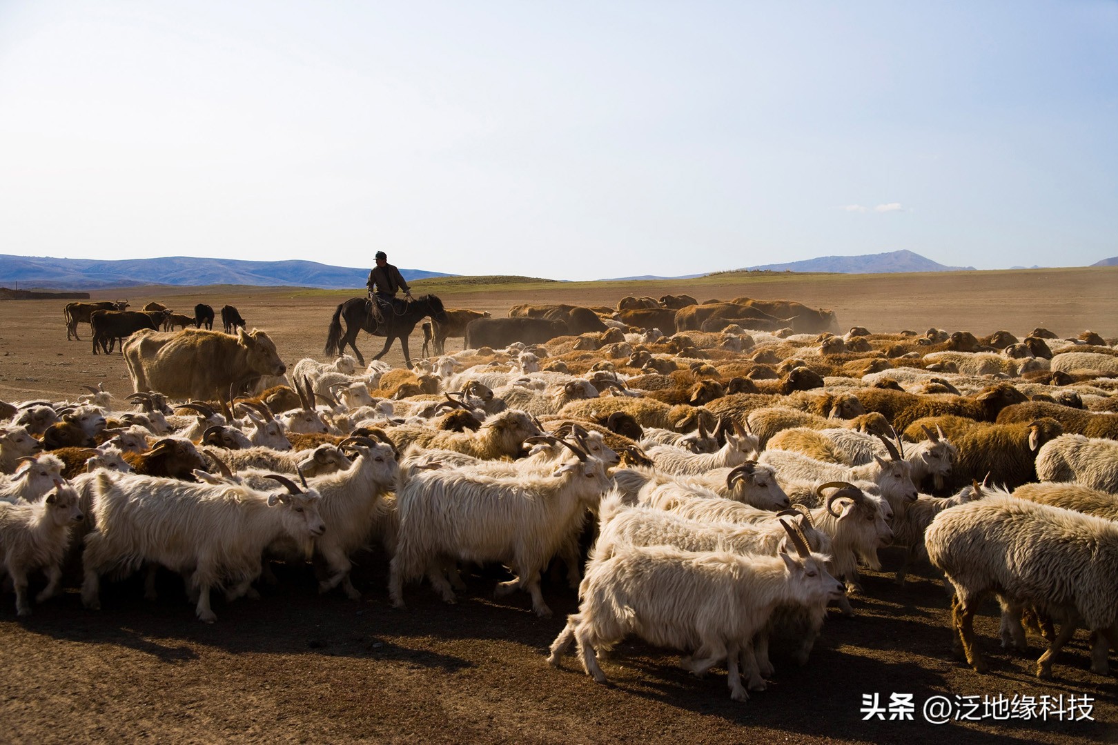家禽养殖场日常管理表,最新养殖场的管理