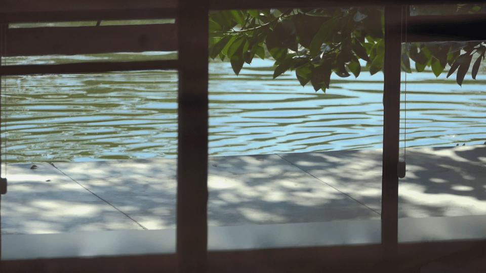 新年第一天，我去打卡一间森林里的美术馆