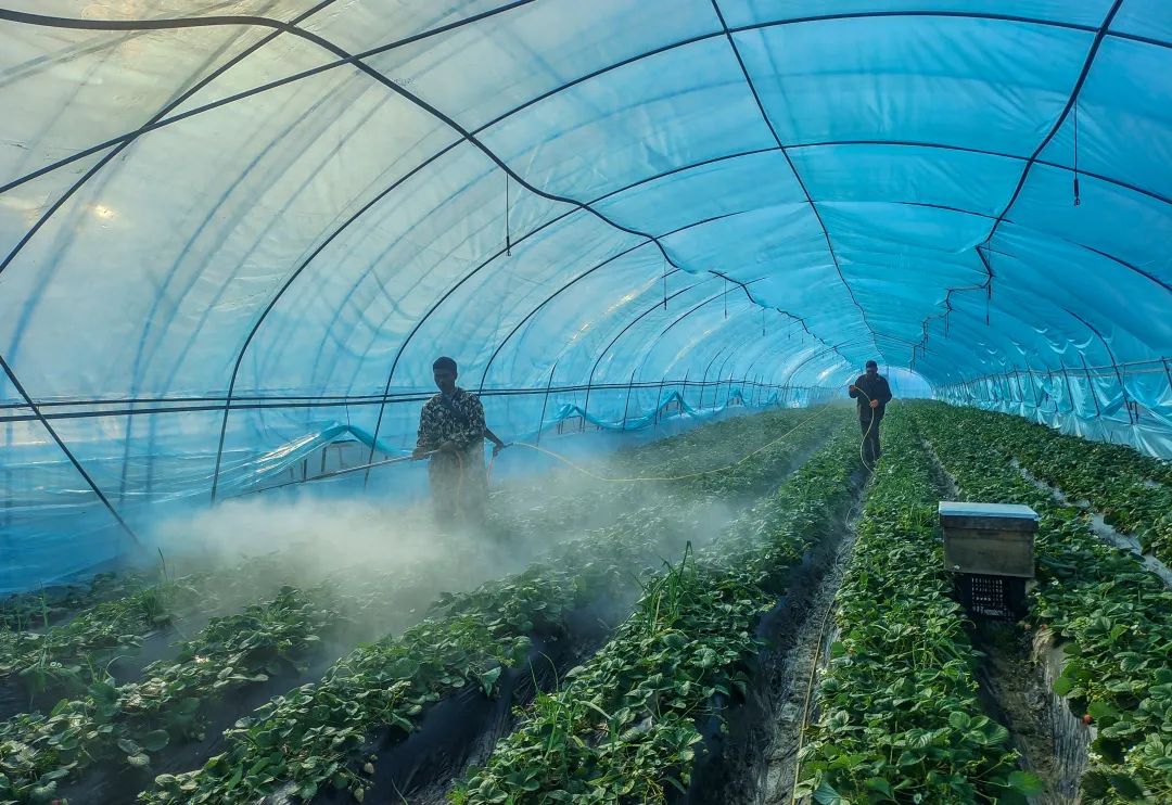 美丽邹庄“乐”翻了!