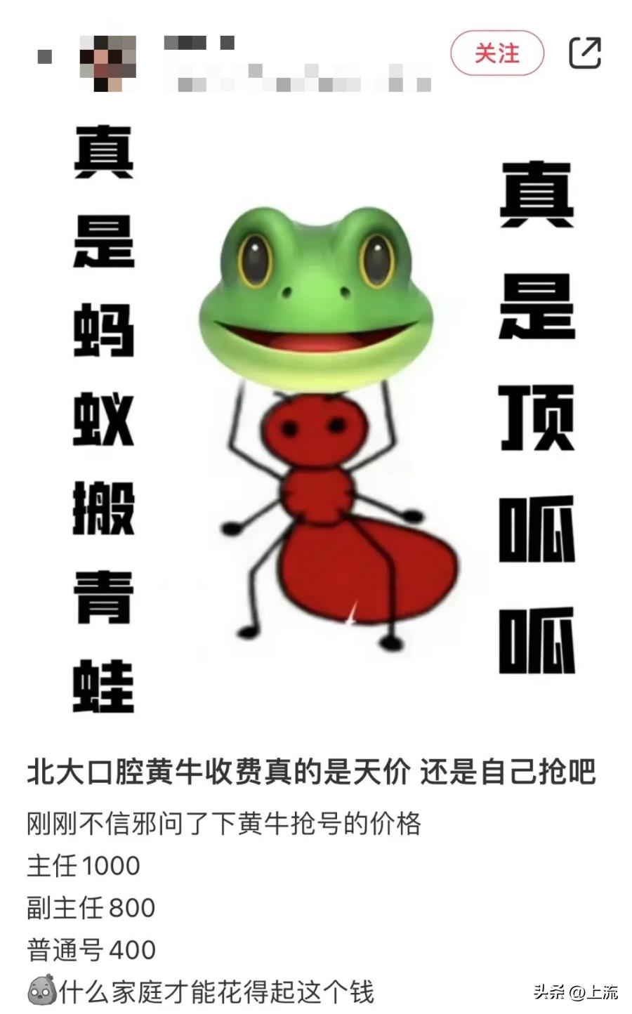 黄牛的操作能有多离谱,论黄牛的操作有多离谱