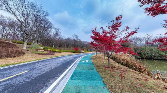 数字文旅如何提升景区运营管理,文旅景区数字化管理图片