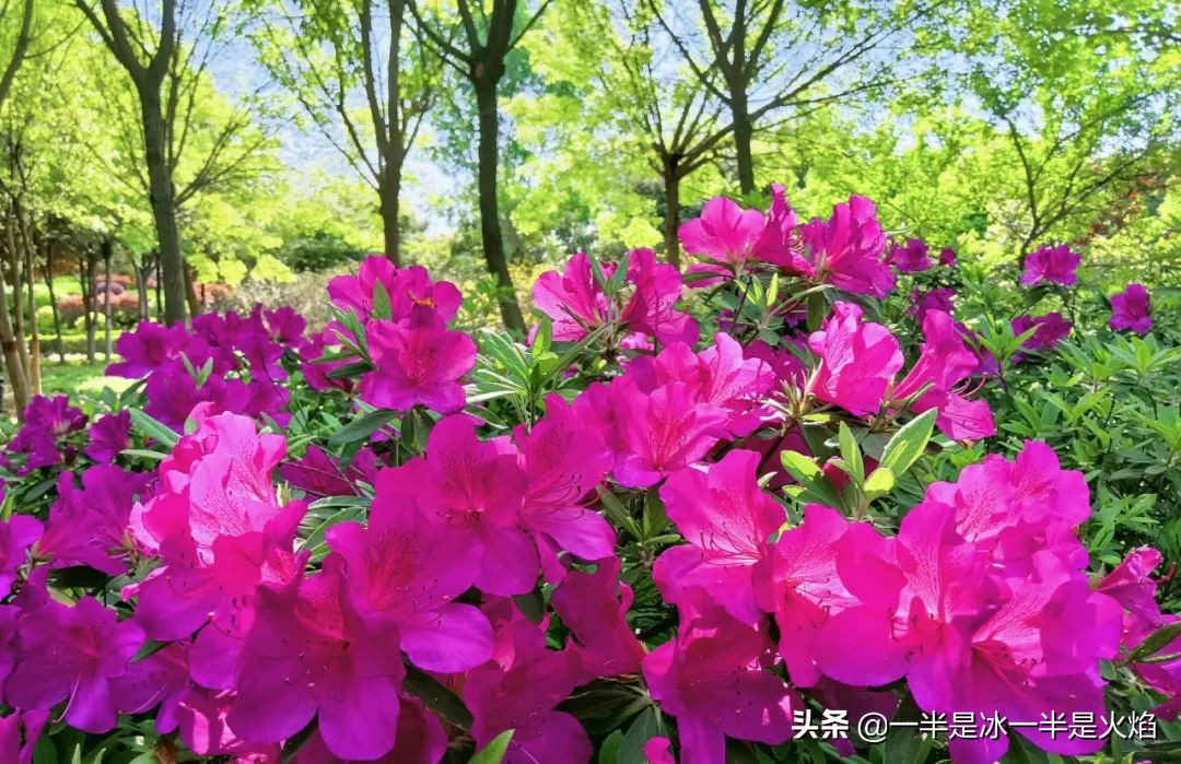 随笔世间百态,一句时光随笔