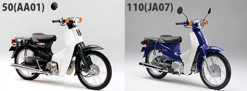 二轮考古学-本田幼兽编年史合集（1952-今）