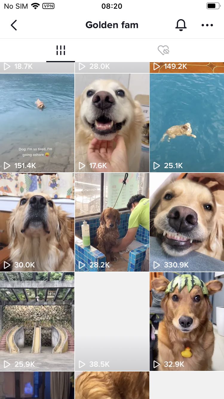 tiktok现在入局还来得及吗,从零开始的TikTok账号运营指南