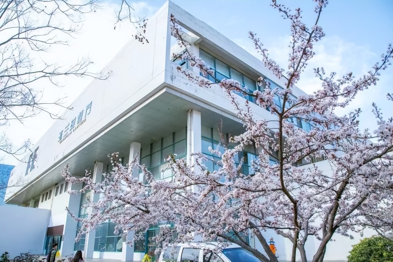 山东185名学霸高考前被保送名校,山东超牛本科学霸