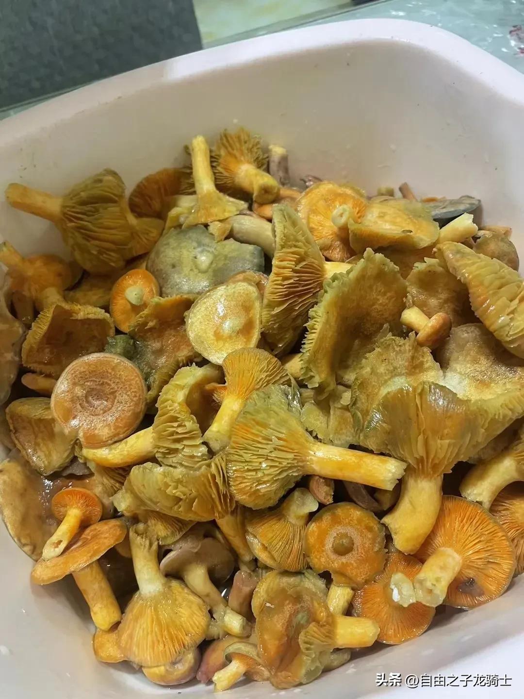 40岁一无所有的男人,35岁以上的男人一无所有