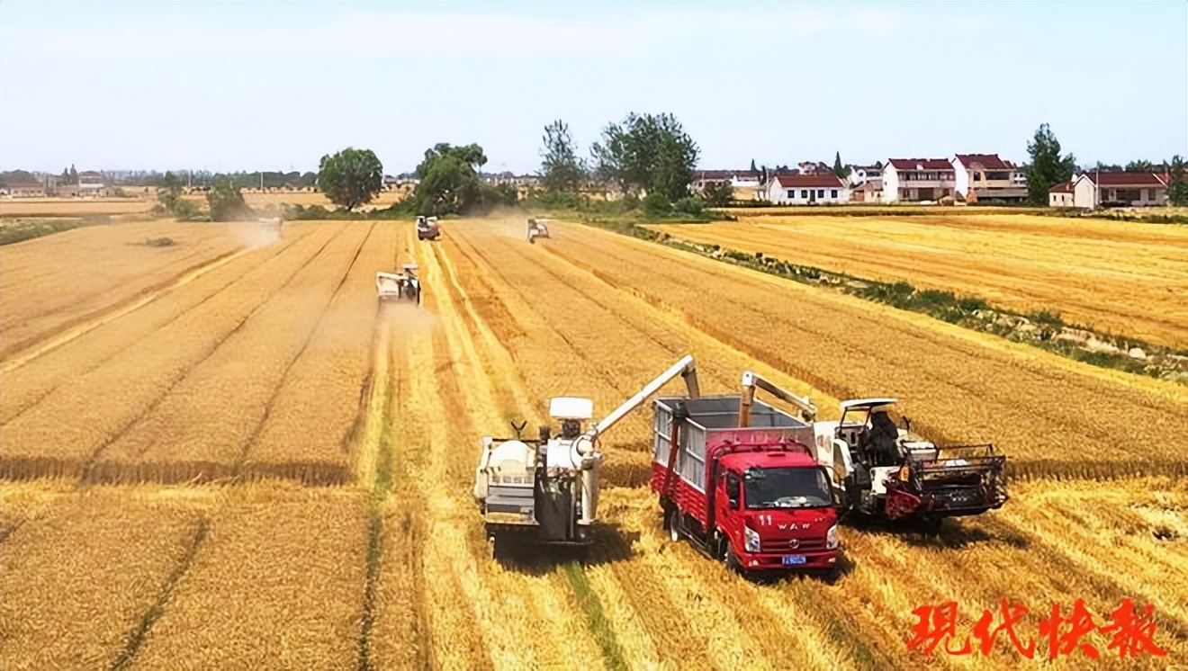 银宝集团,誓言返厂