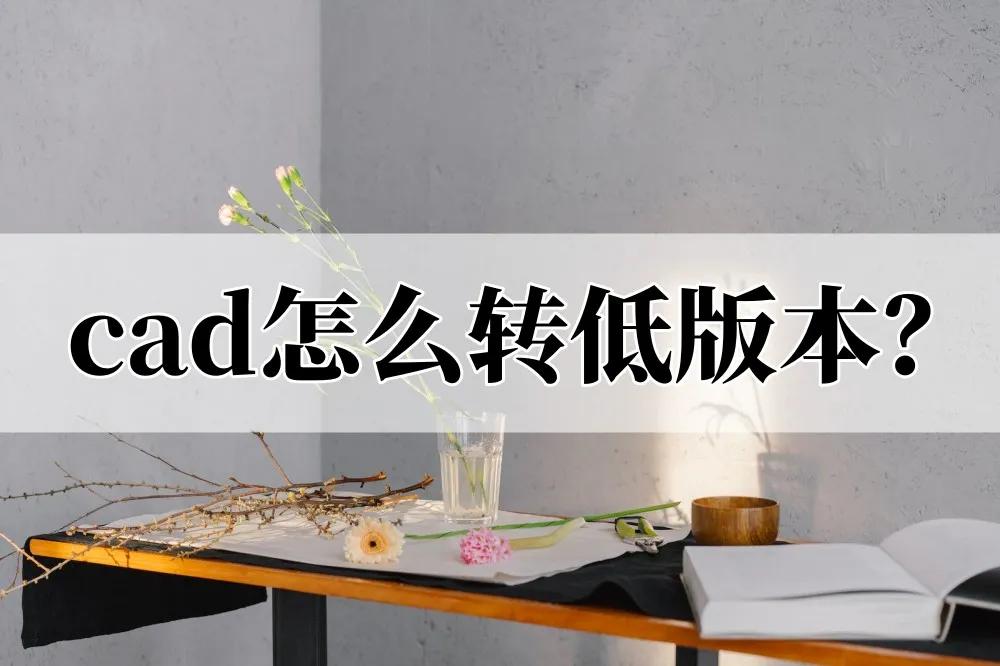 cad图纸高版本转低版本怎么转,cad三维转二维视图低版本