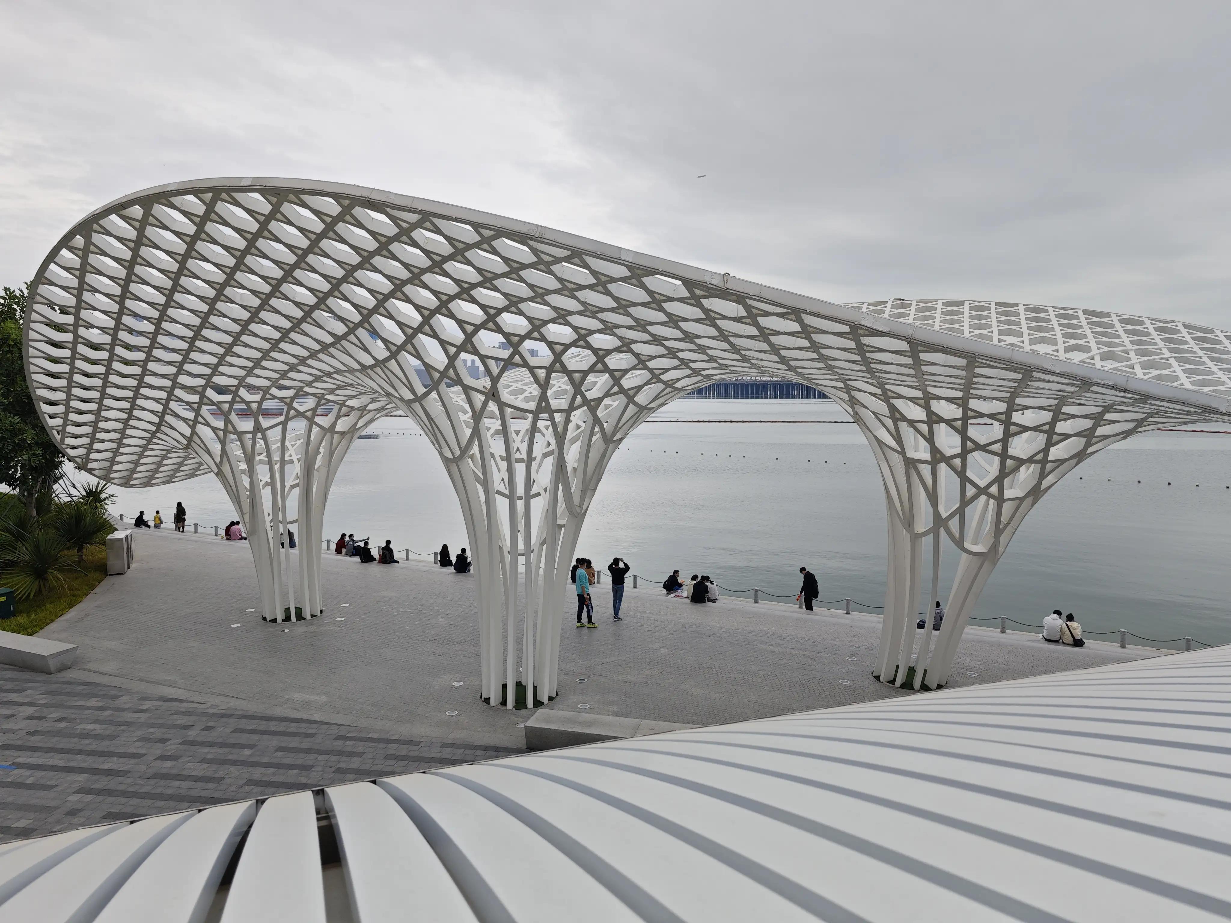 宝安滨海廊桥路线图,宝安滨海廊桥入口