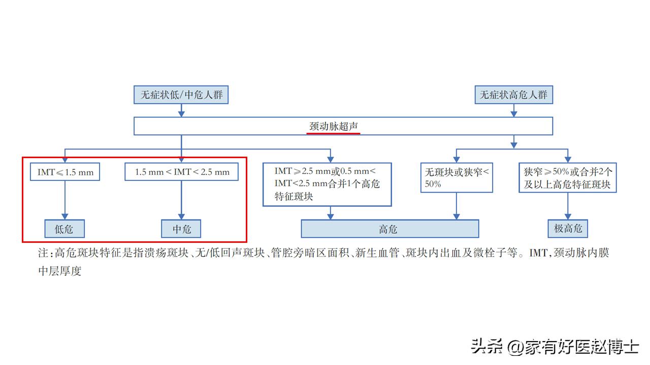 超声颈动脉可以查出什么原因,超声颈动脉斑块的危险评估