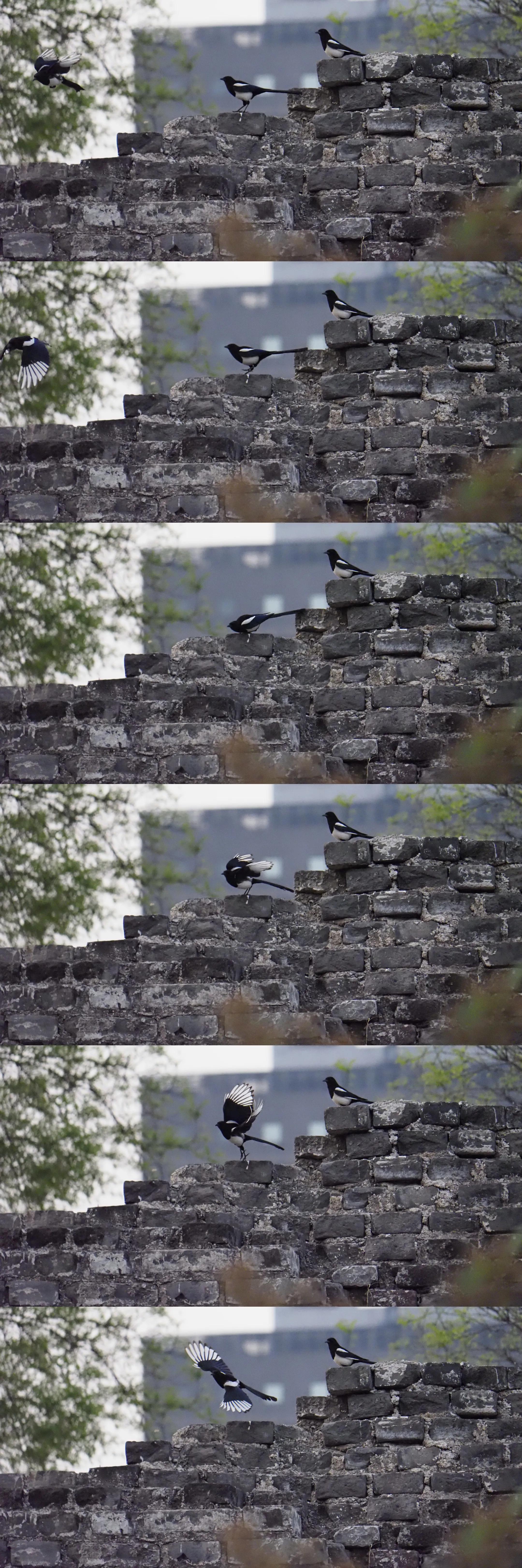 带防抖的长焦镜头500块,防抖长焦镜头推荐500元以下