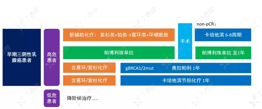 三阴性乳腺癌的最新治疗进展,三阴性乳腺癌早期新辅助治疗