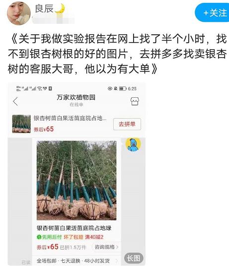 临近考试，大学生到“拼夕夕”求助专业卖家，东问西问就是不下单