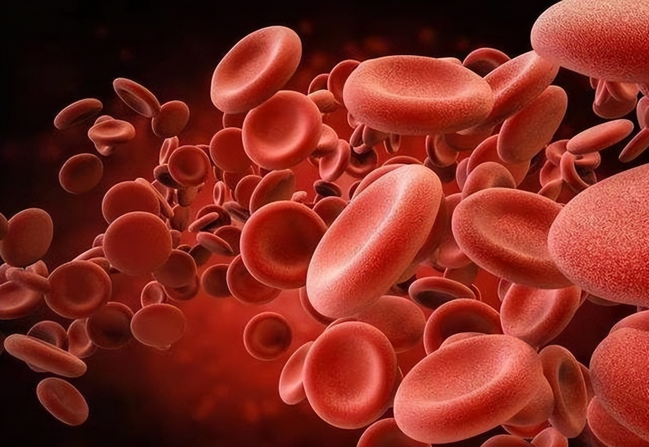 血常规四个指标升高需要注意什么,血常规检查之后才看哪三项