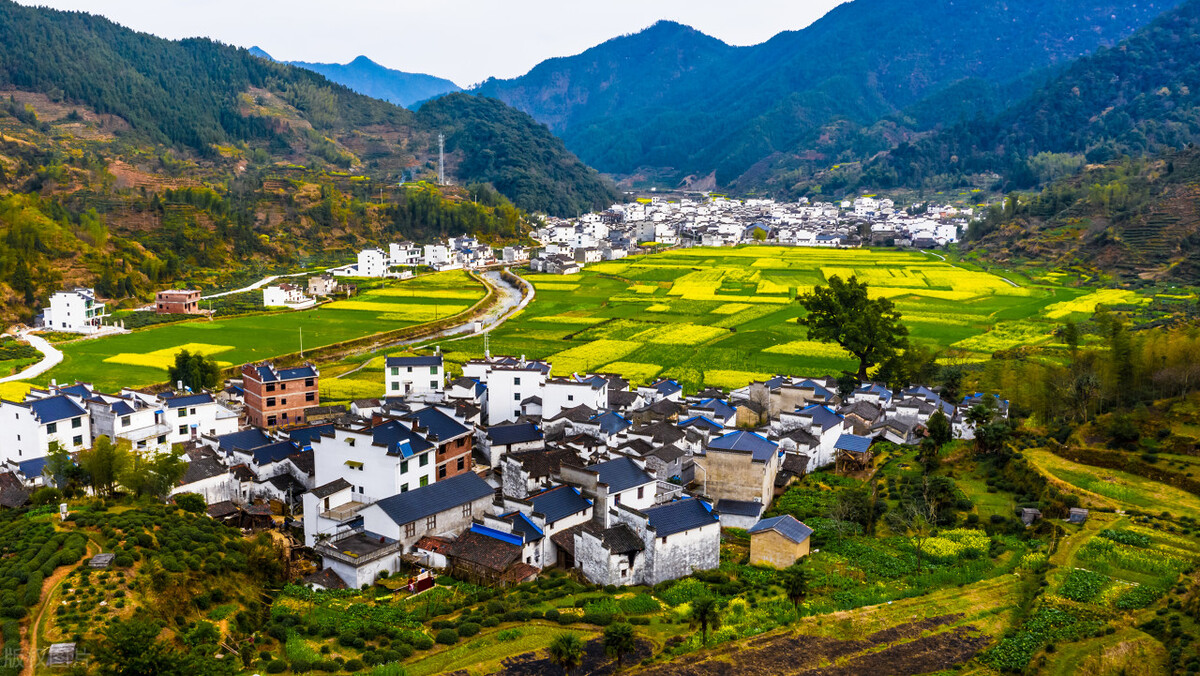 95后小伙回村创业实现营收超千万,负债累累回村创业的视频