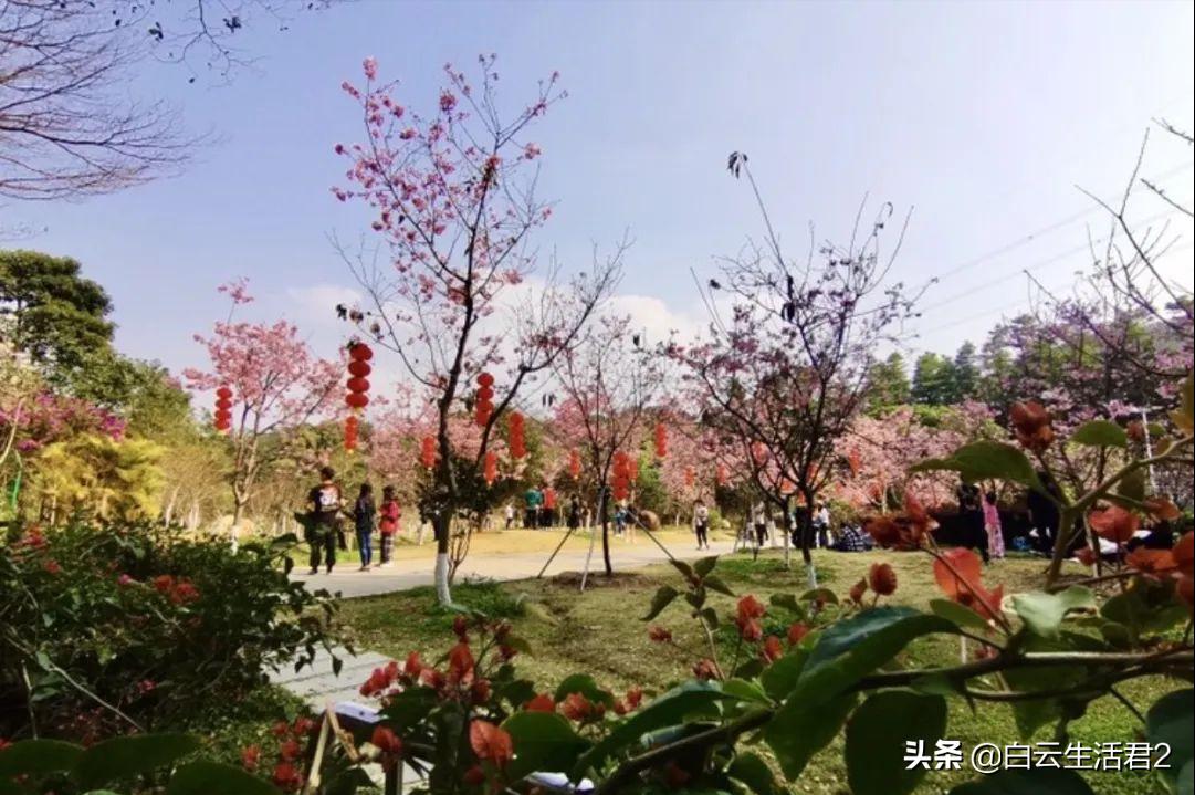 白云山片区发展潜力,白云山的发展潜力巨大