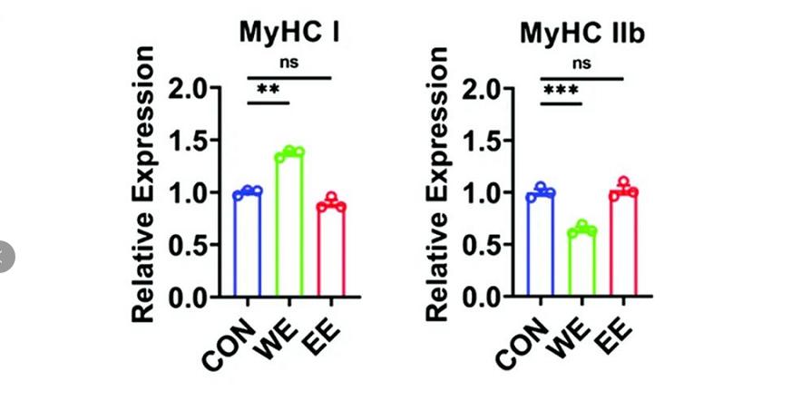 红花油有什么妙用,红花油的成分有红花吗