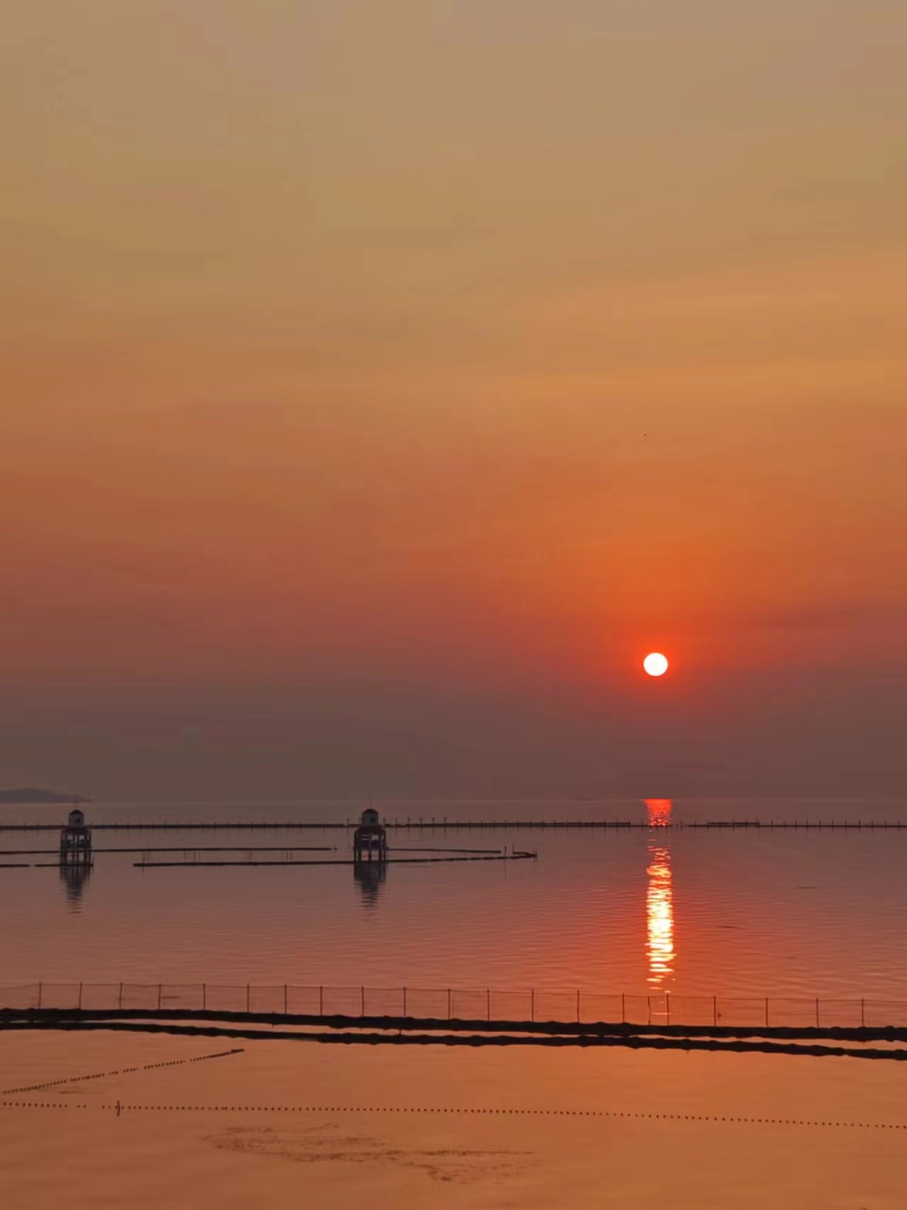 苏州西山民宿缥缈居,苏州西山岛民宿推荐10家