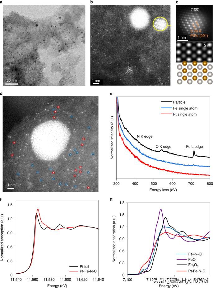 香港科技大学研发氢燃料电池,香港科大lt-b