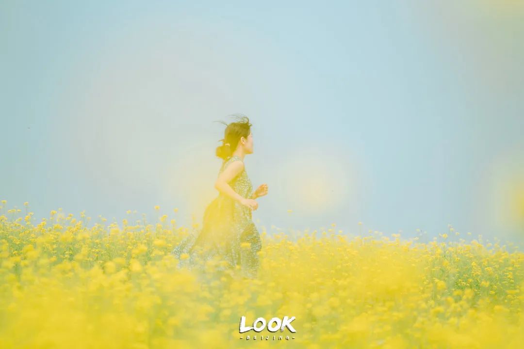 北京居庸关花海栈道,北京四季花海景区