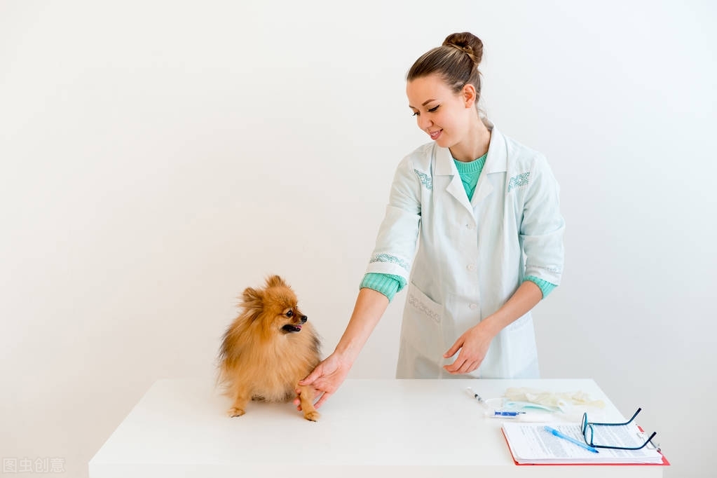 狗狗拉稀便血吃什么药好得快,狗狗拉稀便血吃什么药以及用量