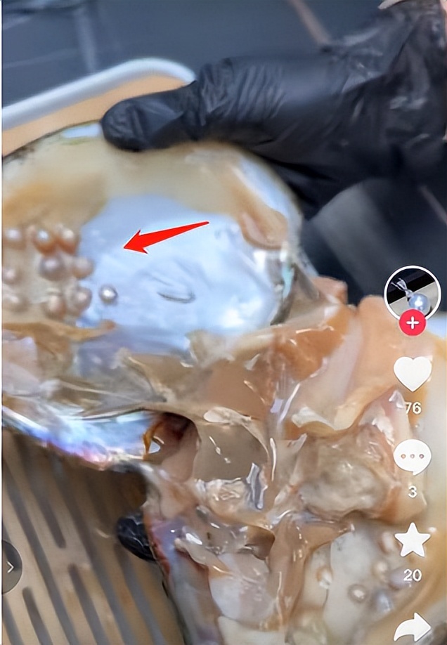 开蚌壳取珍珠一年赚多少钱,开蚌取珍珠直播大揭秘