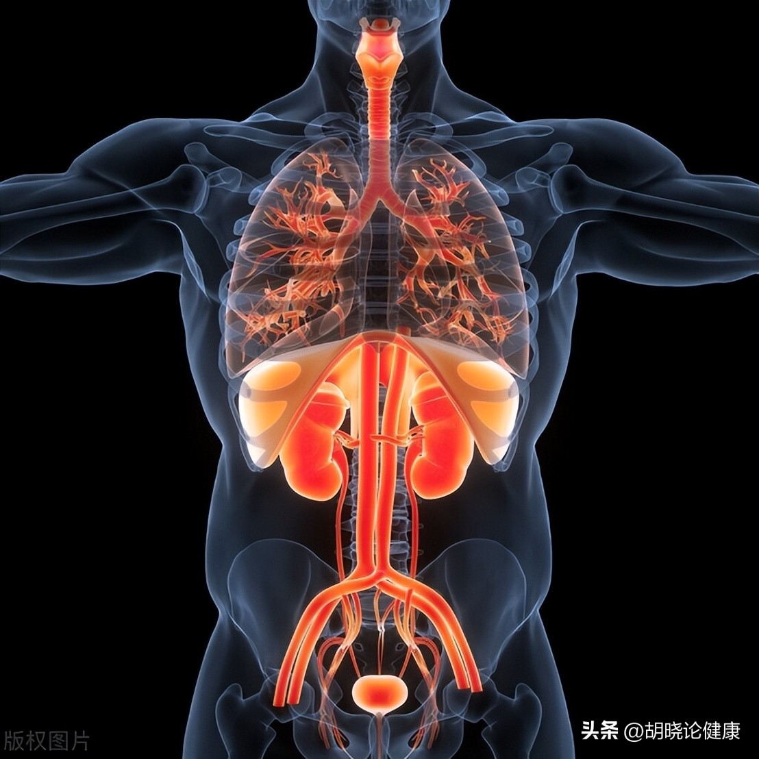 狼疮肾炎补体c4低是狼疮复发吗,狼疮性肾炎诊断的特异性抗体指标